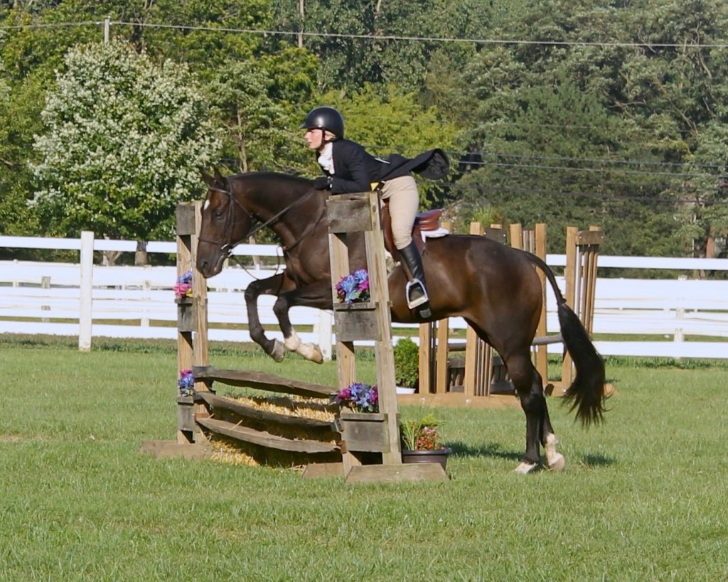 Knowing When to Pull Back: Honoring Joey’s Next&nbsp;Chapter