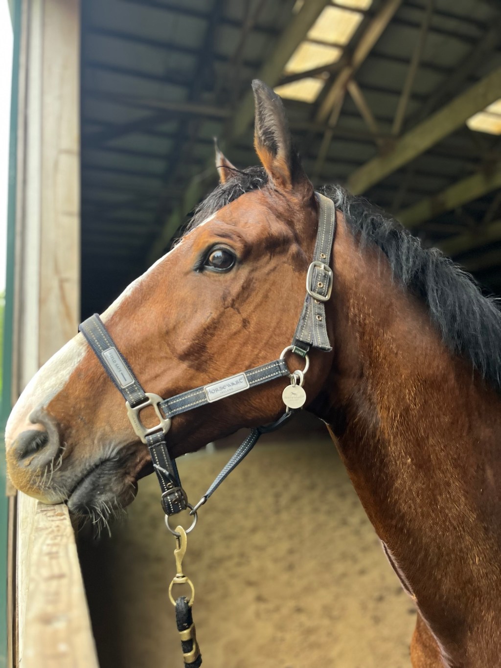 What They Don’t Tell You About Building a Riding&nbsp;Routine